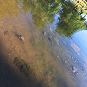 Meet your Posher, Beyhan